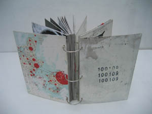 status-100109-for-og-bag1