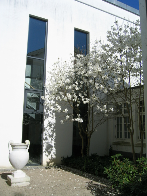 kcsb-magnolia-april-09-015