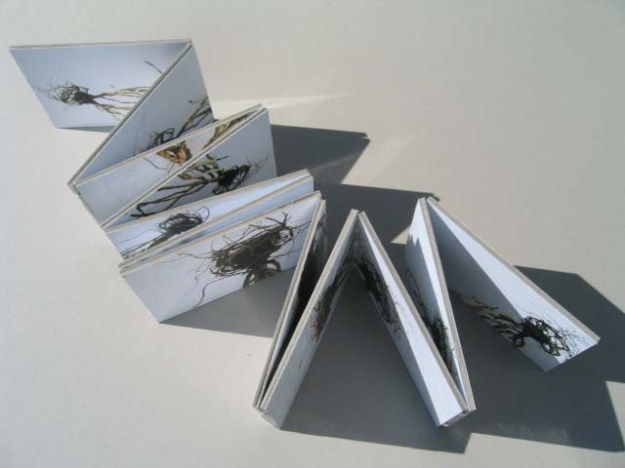 Pulling out the roots A