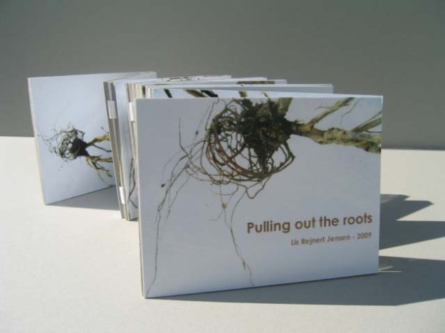 Pulling out the roots B