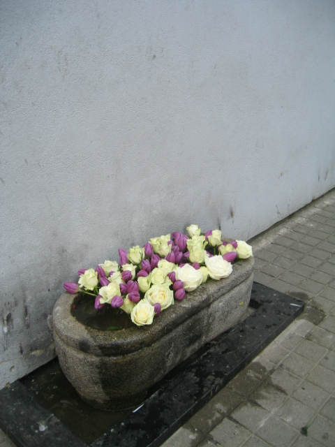 Vilnius maj 2009 dag 3 (95)