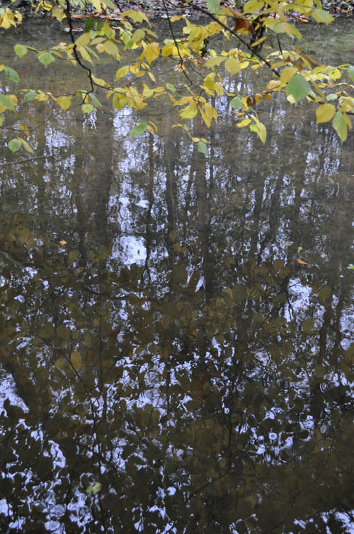 Efterårstur Moesgaard 2009 002 500