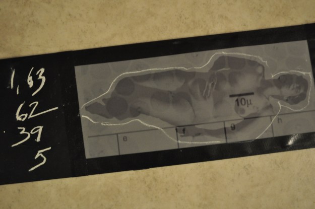 Formulas for Life (3)