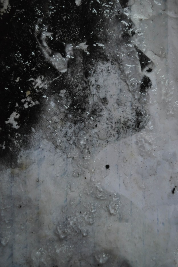 Joe i sneen 013 1500