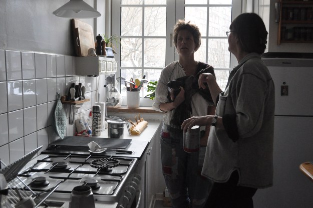 ARTROVERT i Kbh februar 10 009