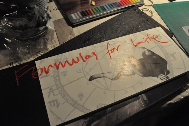 ARTROVERT i Kbh februar 10 030