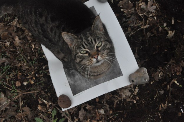 decompose-recompose-2