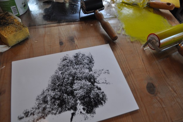 It may seem dark but the trees are growing - proces 001