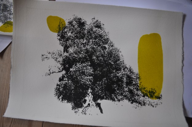 It may seem dark but the trees are growing - proces 002