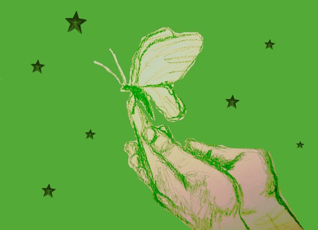 Sommerfugl med stjerner